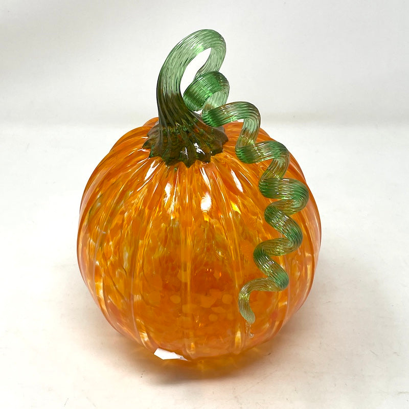 Pumpkin - Curly | Large