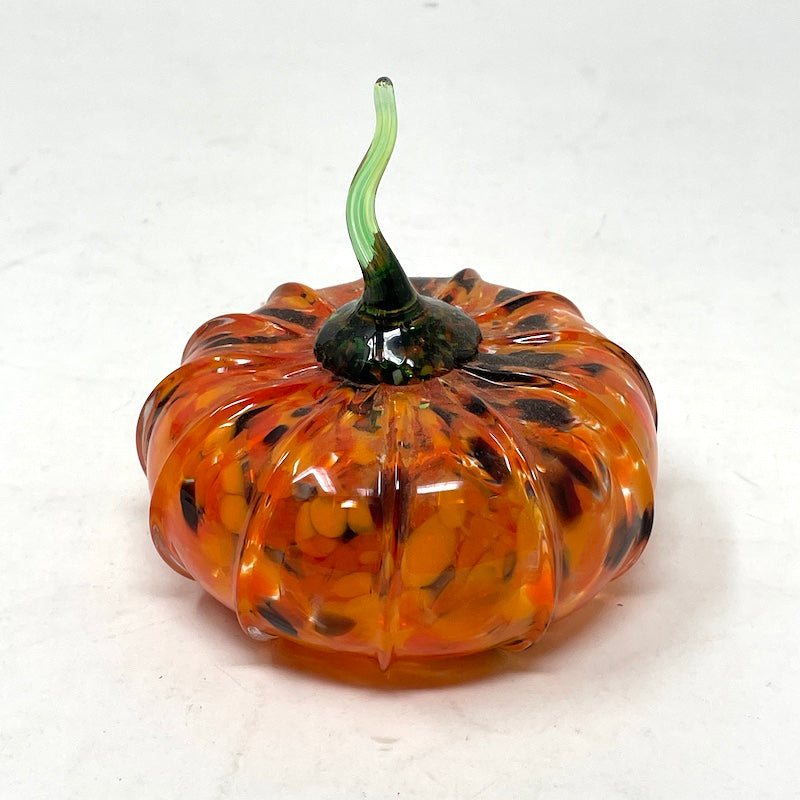 Pumpkin - Squat