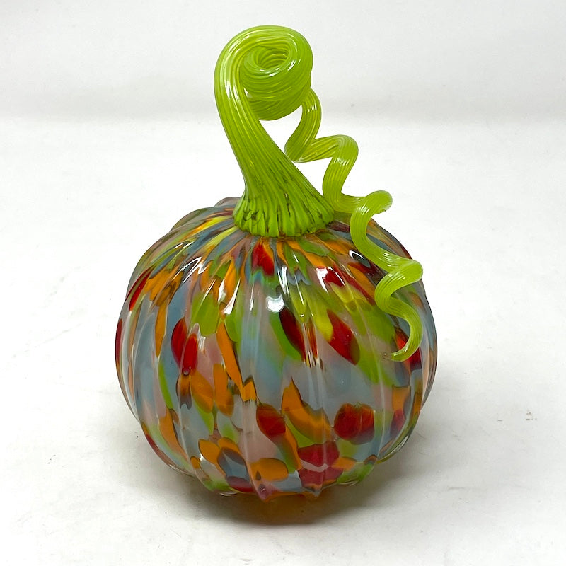 Pumpkin - Curly | Medium