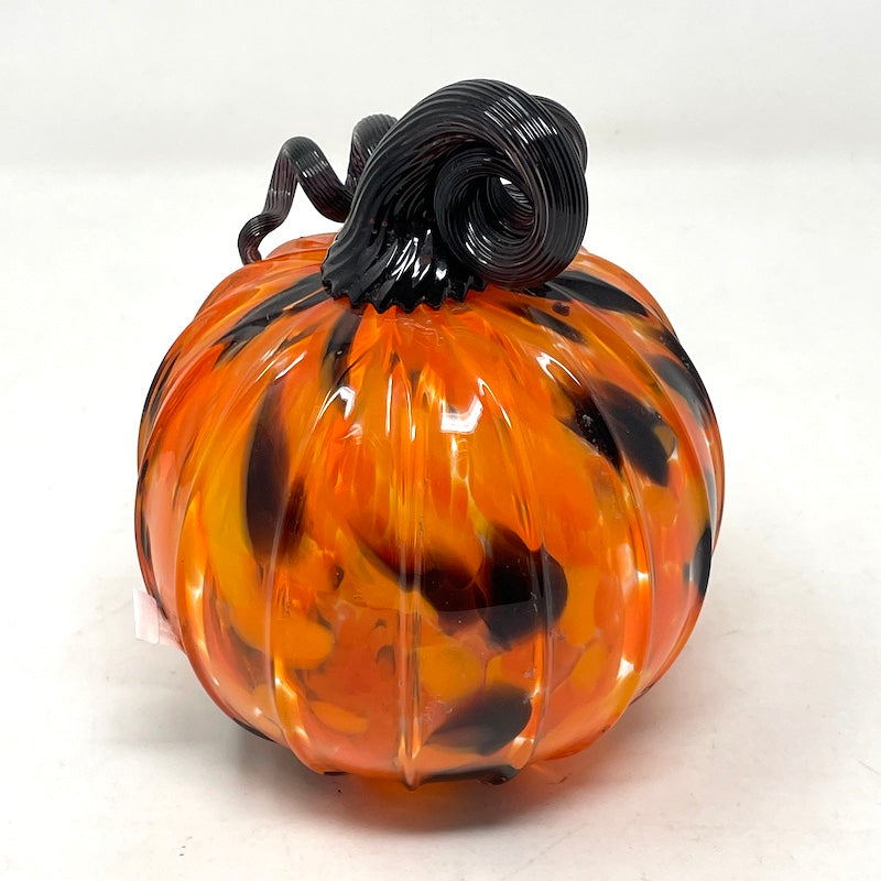 Pumpkin - Curly | Medium
