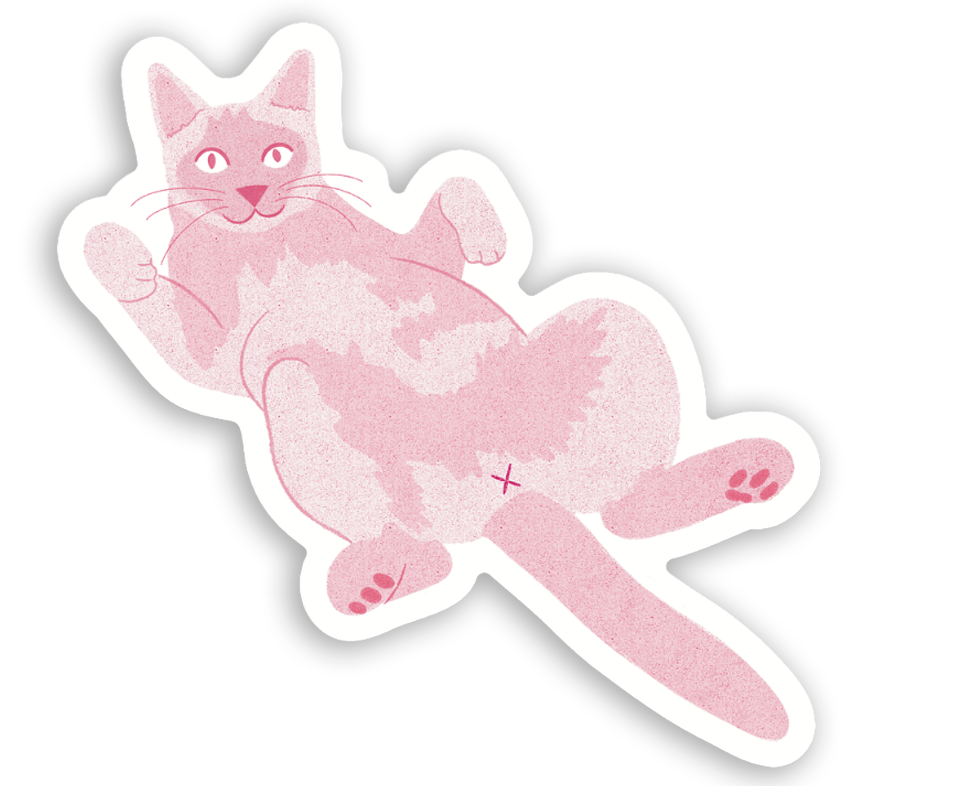 Sticker - Belly Up