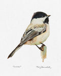 Framed Print - Chickadee
