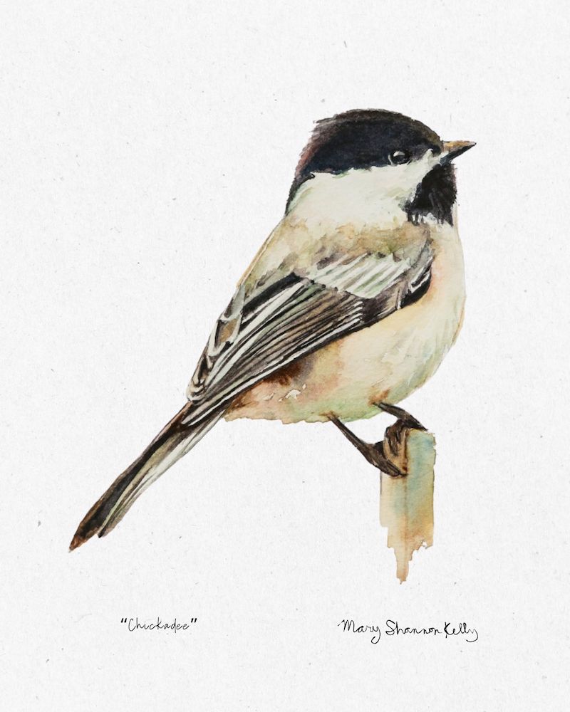 Framed Print - Chickadee