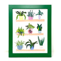 Framed Print - House Plants