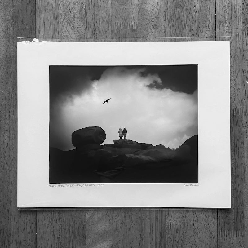 Giclee Print - Love Birds