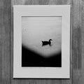 Giclee Print - Drip Drop Duck