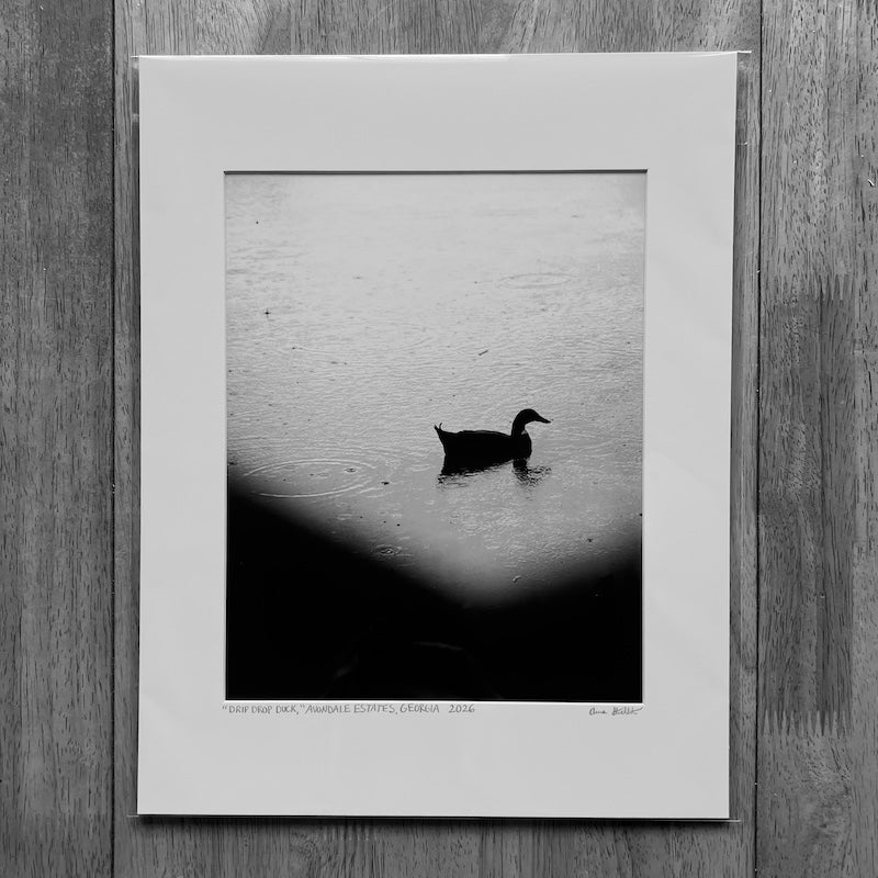 Giclee Print - Drip Drop Duck