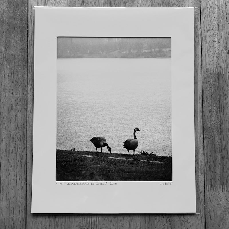 Giclee Print - Grit