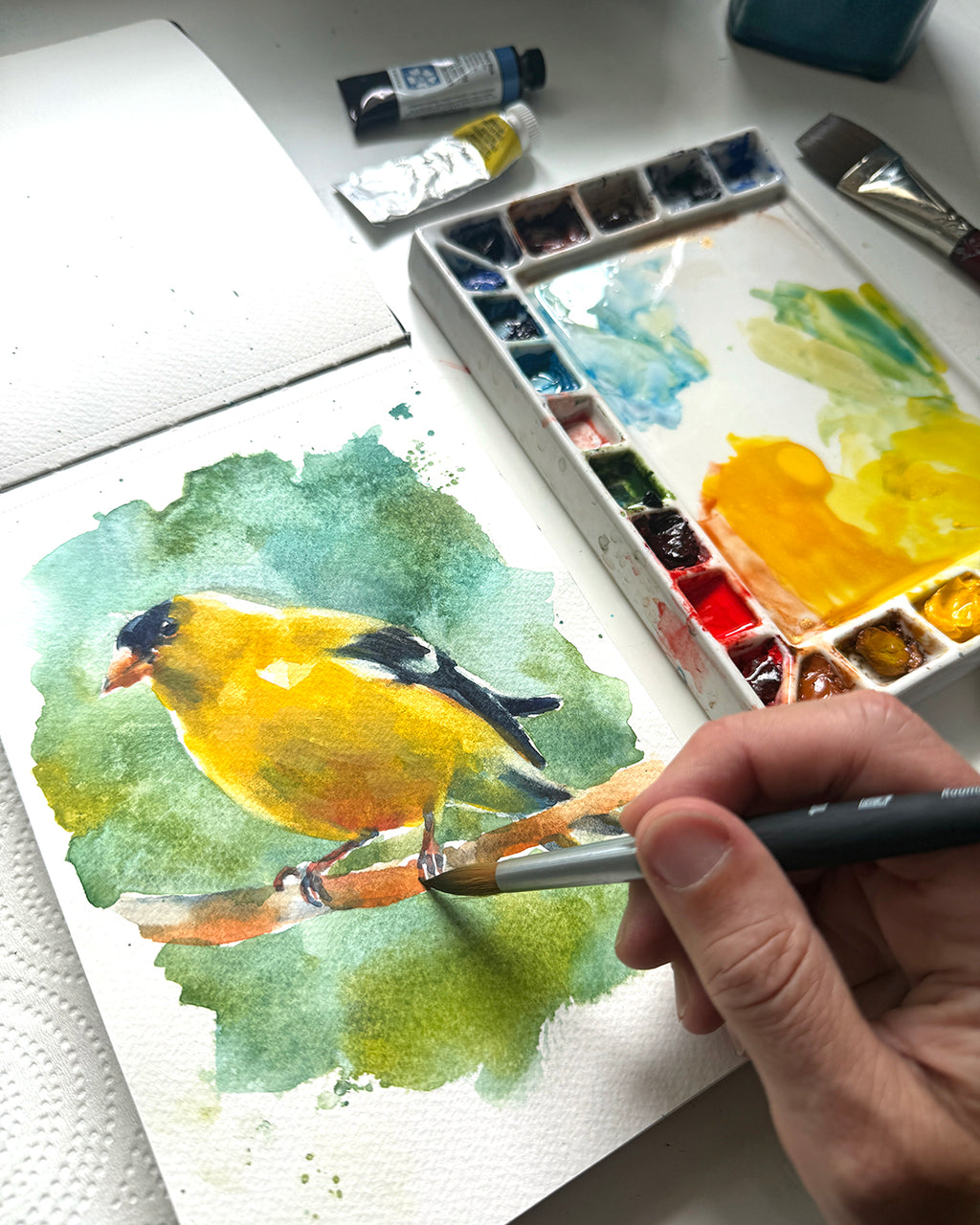 Watercolor Goldfinch | Mini Workshop 7/16