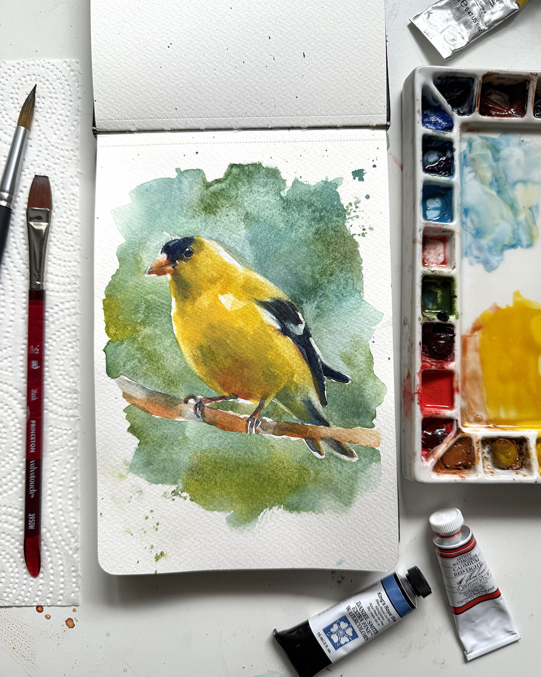 Watercolor Goldfinch | Mini Workshop 7/16