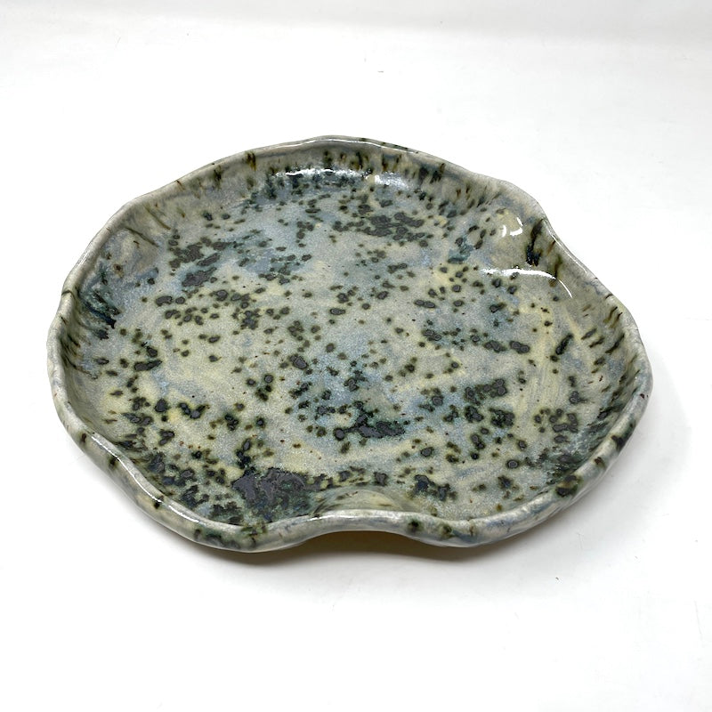 Platter | Organic Algae