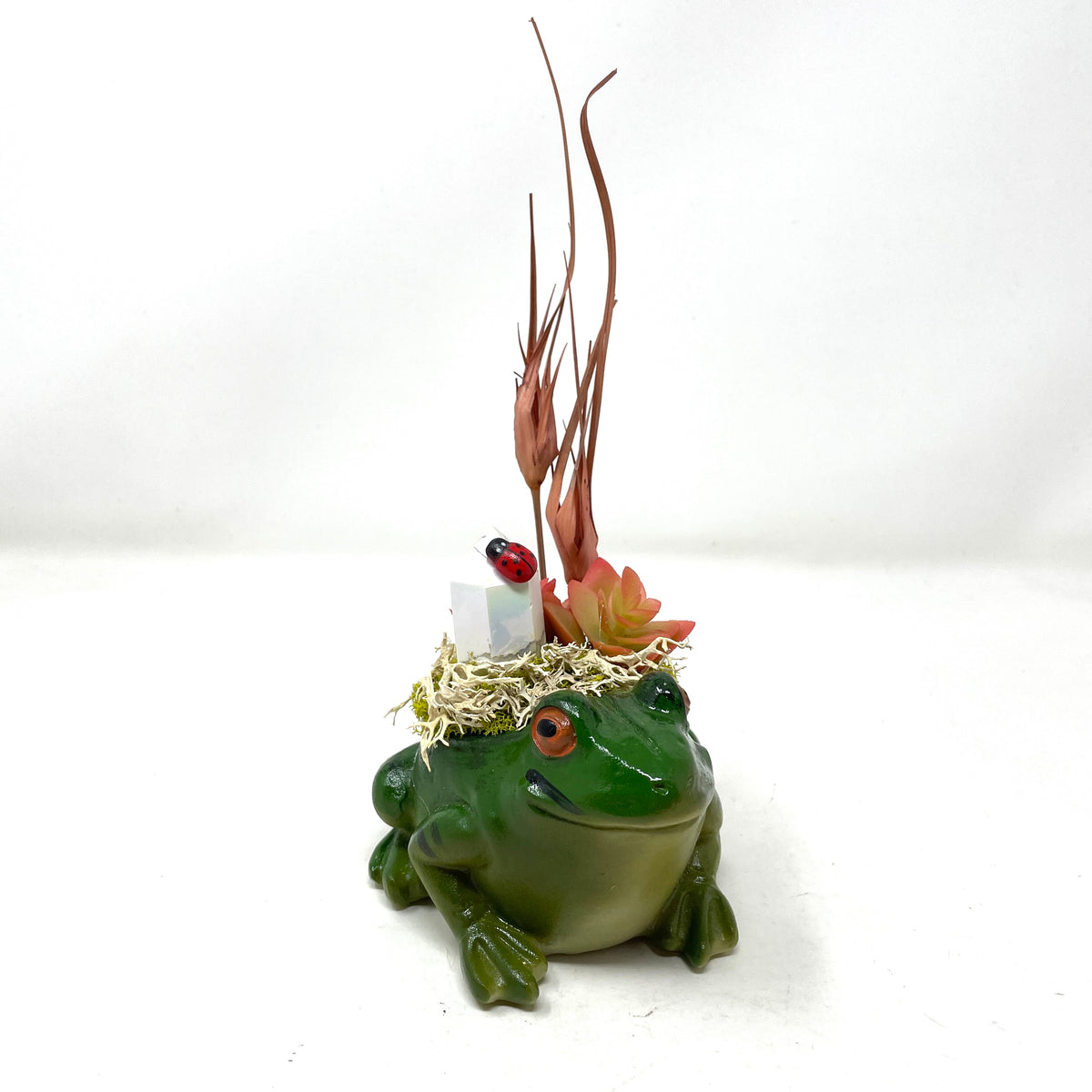 Crystal Gardens-Frog