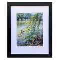 Framed Art Print - Ducks Frolic on Avondale Lake