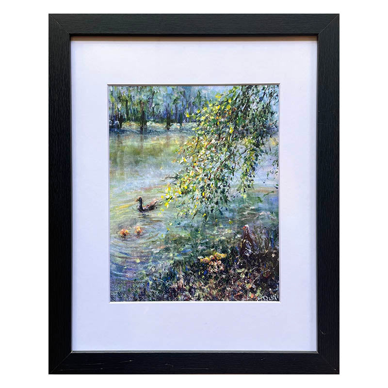 Framed Art Print - Ducks Frolic on Avondale Lake