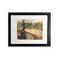 Framed Art Print - Reflections from the Bench
