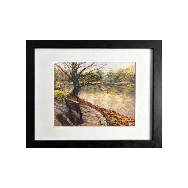 Framed Art Print - Reflections from the Bench
