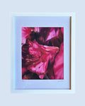Framed Print - Azalea | 8x10"
