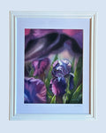 Framed Print - Iris