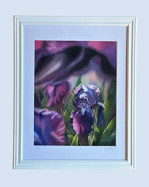 Framed Print - Iris