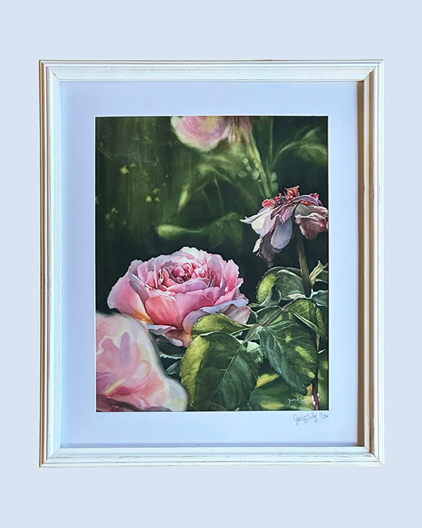 Framed Print - Rose |