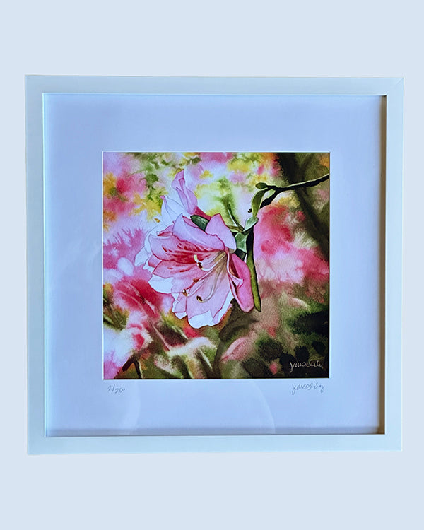 Framed Print - Azalea | 8x8"