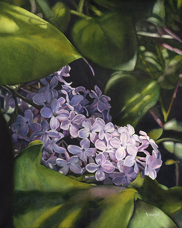 Prints - 11x14