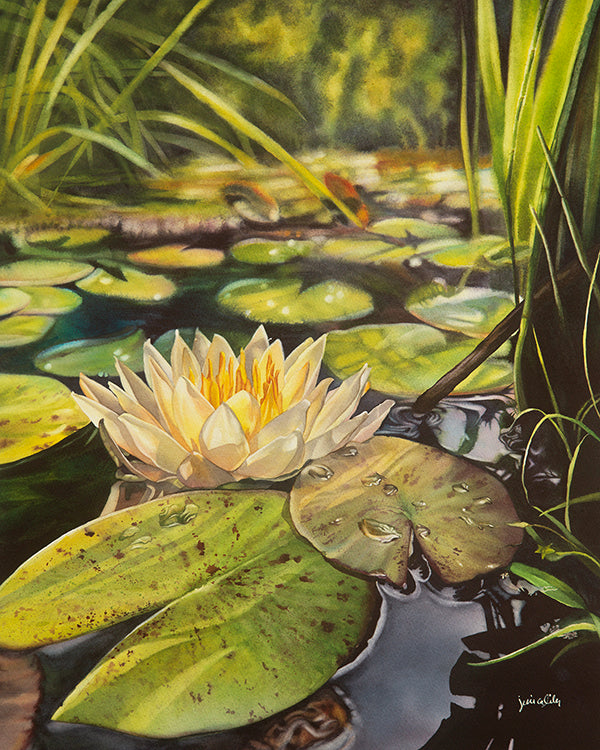 Prints - 11x14