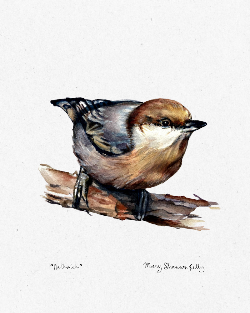 Notecard - Birds