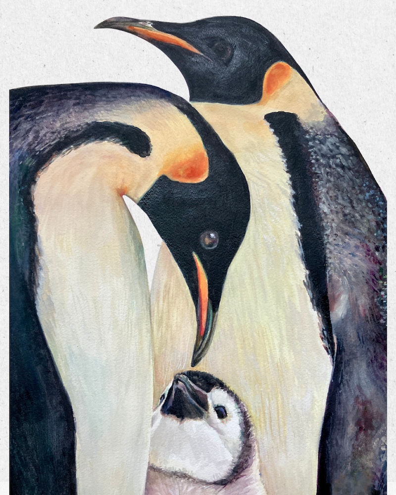 Notecard - Birds