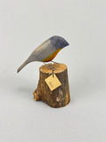 Robin on stump