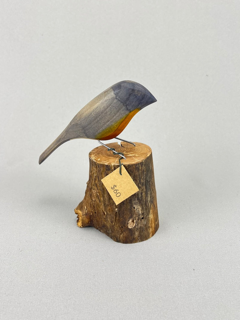 Robin on stump