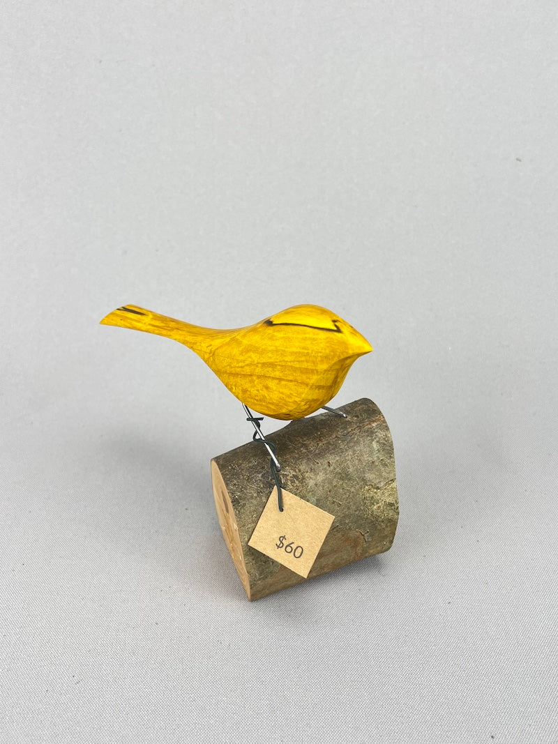 Yellow bird on stump