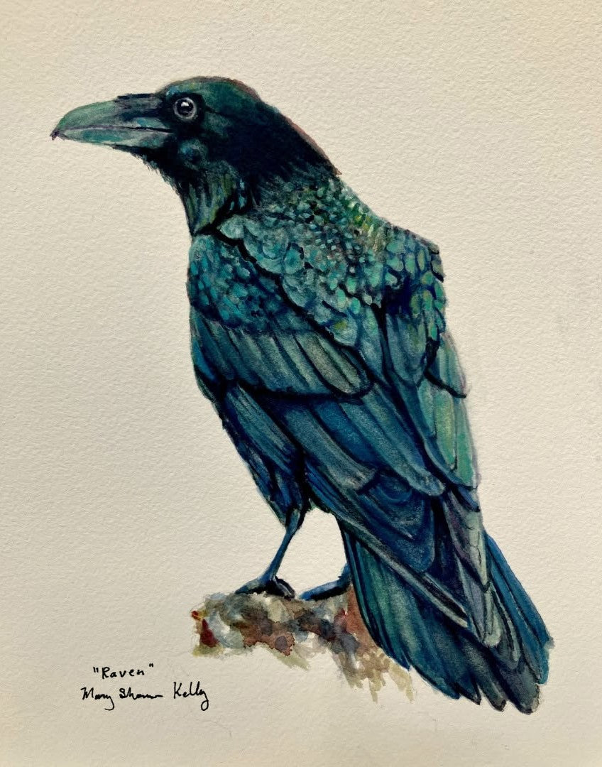 Print - Raven