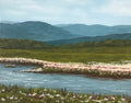 River in the valley