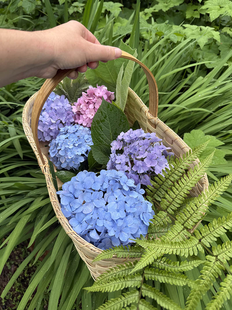 Harvest Basket Weaving