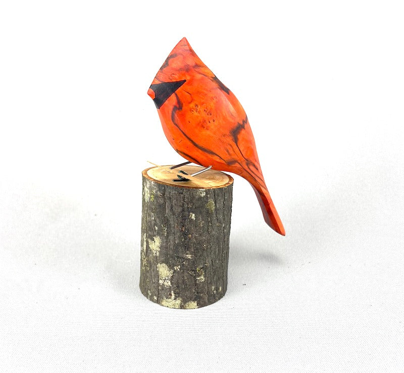 Cardinal on Stump