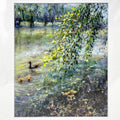 Art Print - Ducks Frolic on Avondale Lake