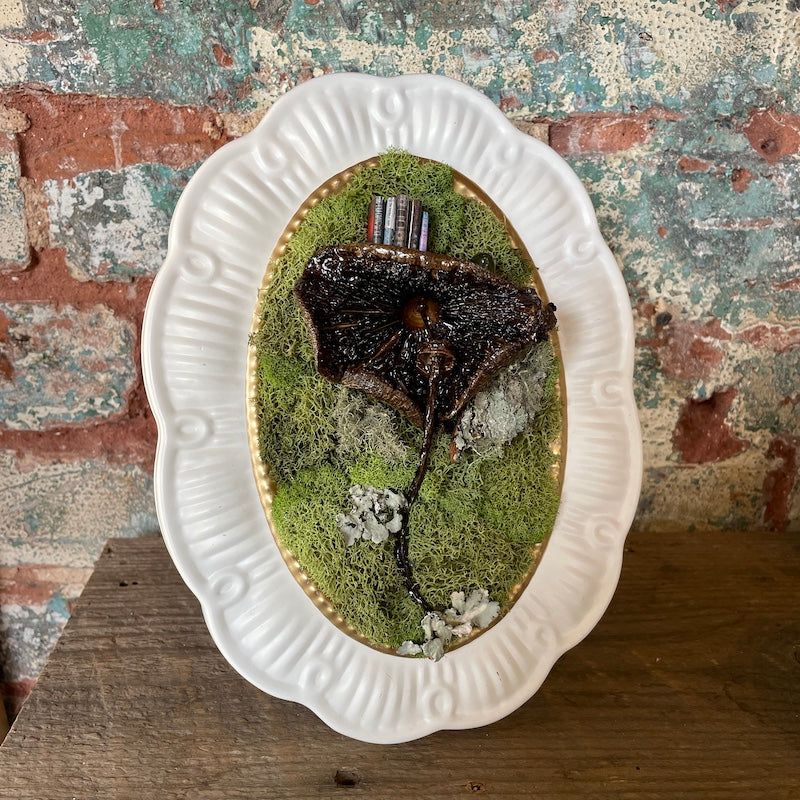 Frog Library Art