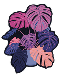 Sticker | Funky Monstera