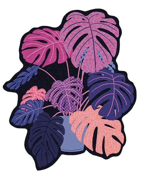 Sticker | Funky Monstera
