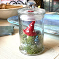 Mushroom Terrarium