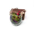 Hanging Mushroom Glass
