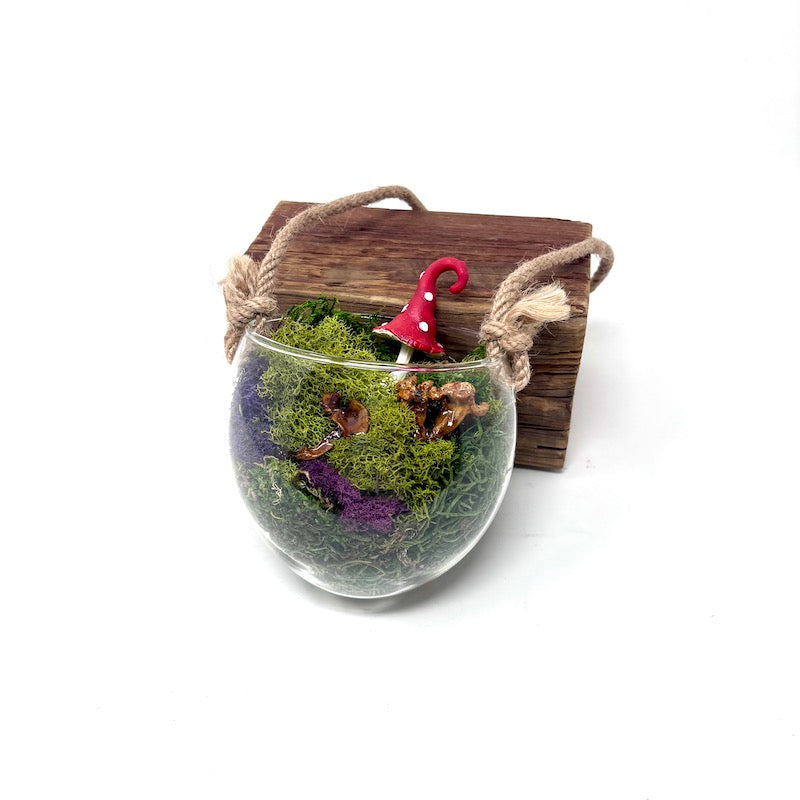 Hanging Mushroom Glass