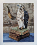 Art Print -  Hawk on Books