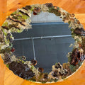 Mirror Mushroom Art