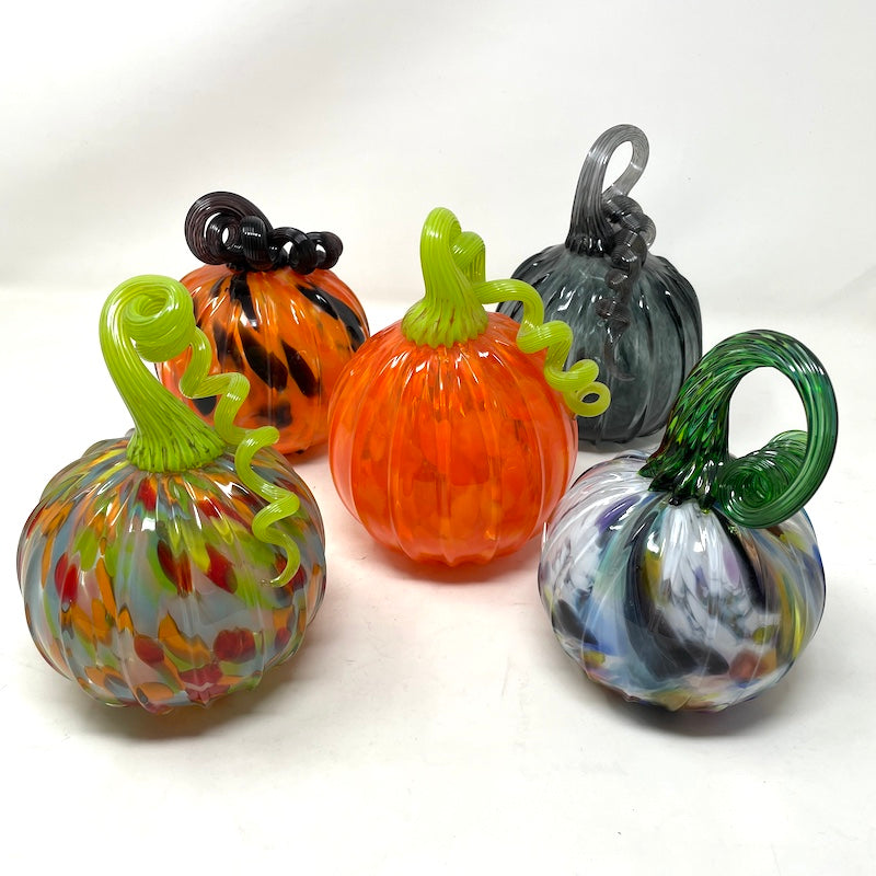 Pumpkin - Curly | Medium