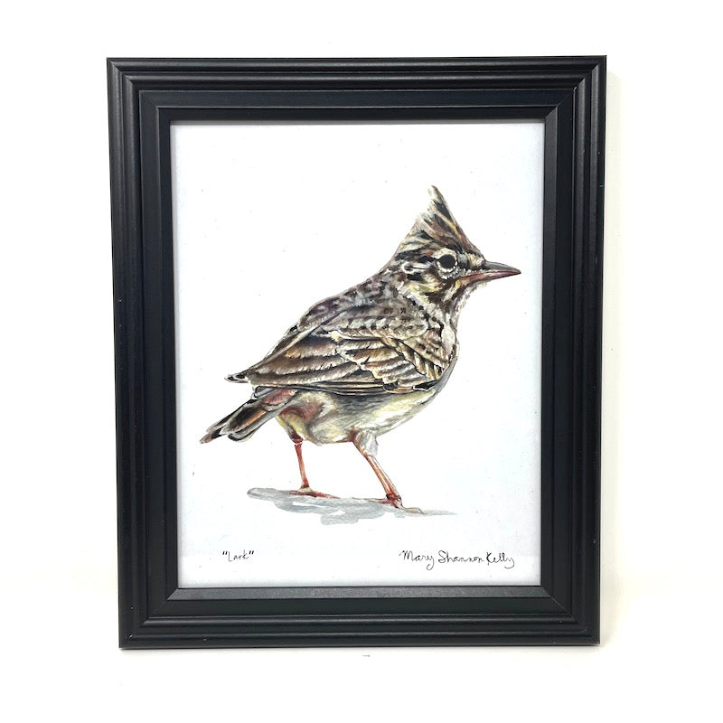Framed Birds - 8x10