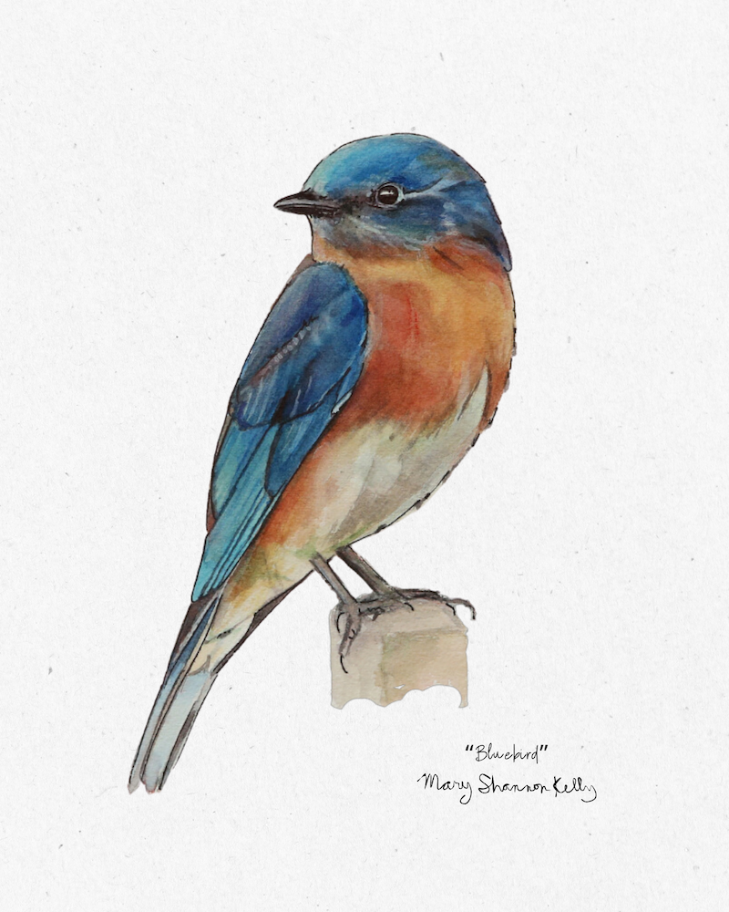 Print - Bluebird