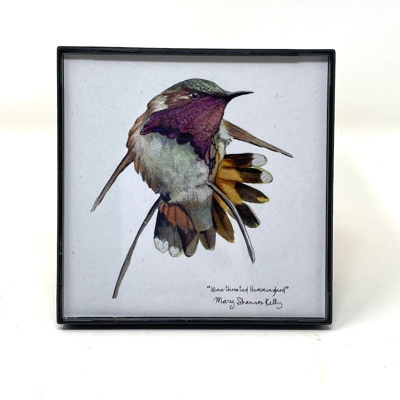 Framed Birds - 4x4