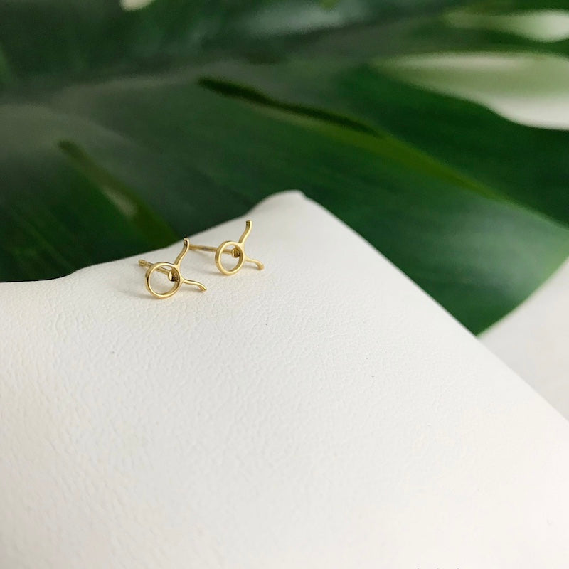 Zodiac Stud